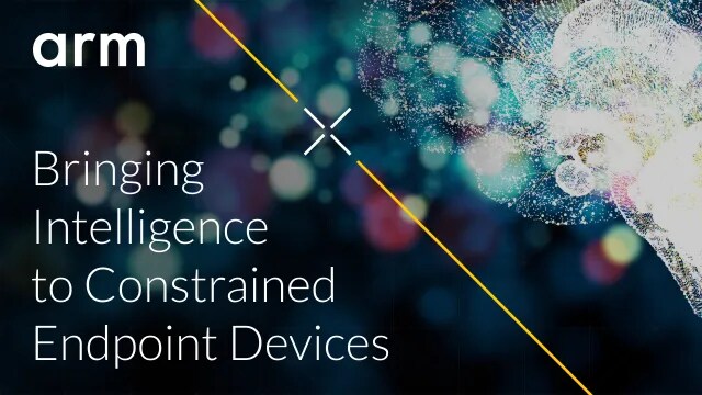 Bringing Intelligence to Constrained Endpoint Devices